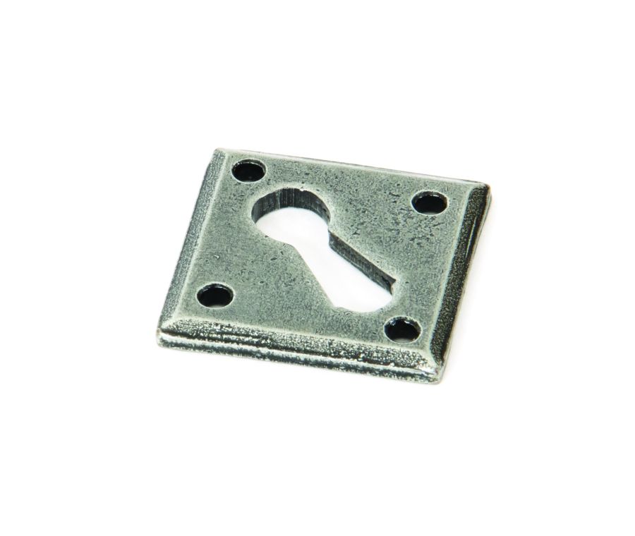 Pewter 33613