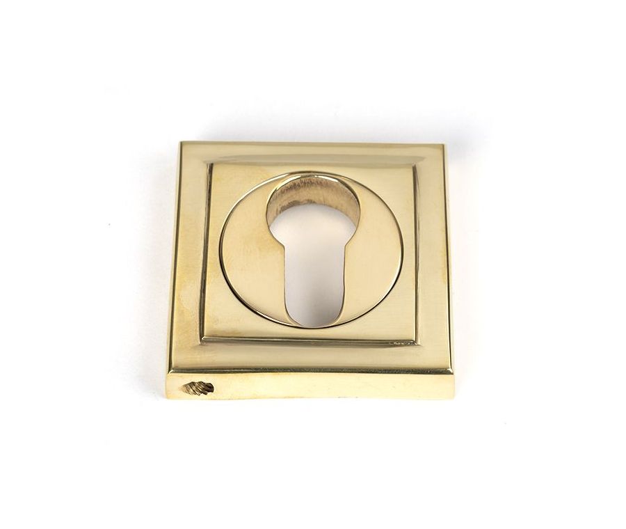 Polished Brass Euro Escutcheon (Square) | 50595