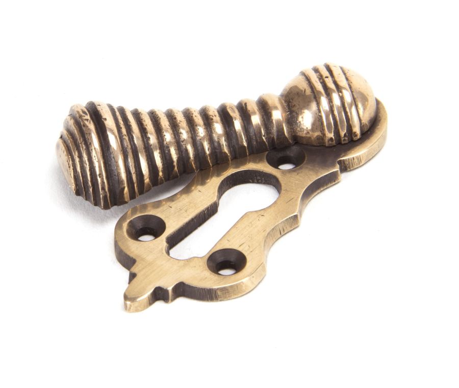 Polished Bronze