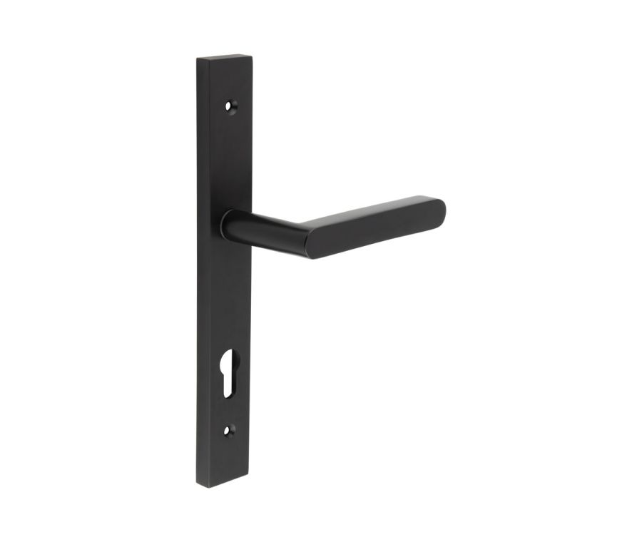 CR-101 Black Multi Point Backplate Door Handle