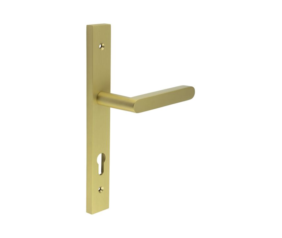 CR-101 Satin Brass Multi Point Backplate Door Handle