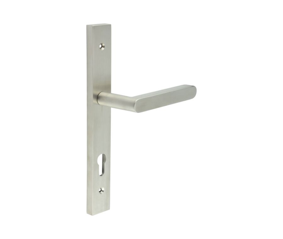 CR-101 Satin Stainless Steel Multi Point Backplate Door Handle