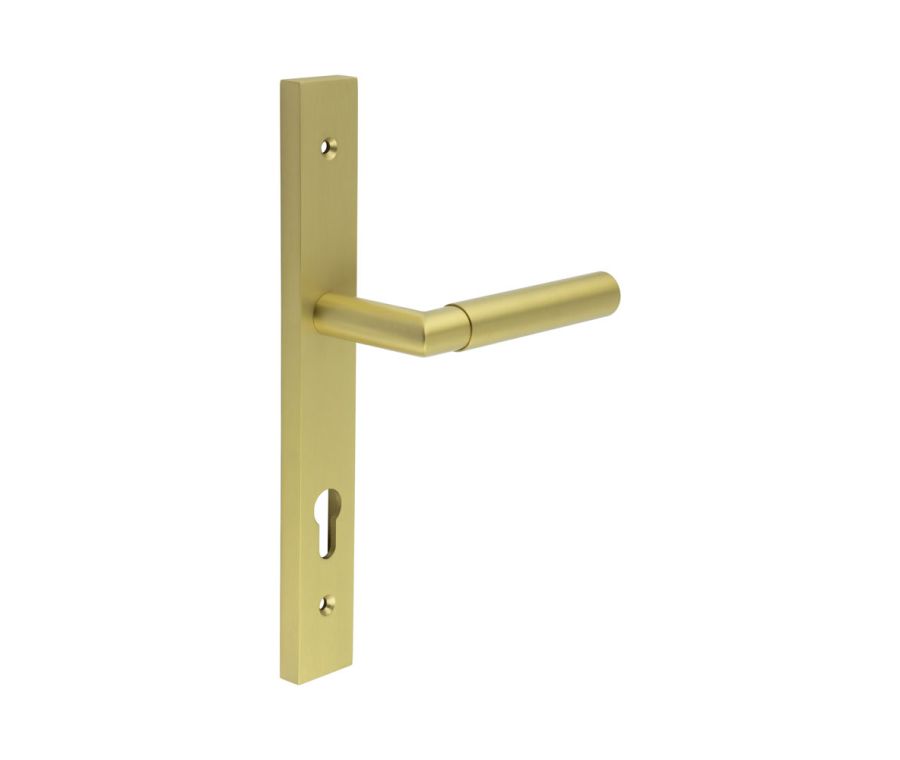 CR-102 Satin Brass Multi Point Backplate Door Handle