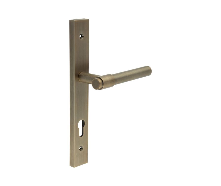 CR-103 Antique Brass Multi Point Backplate Door Handle
