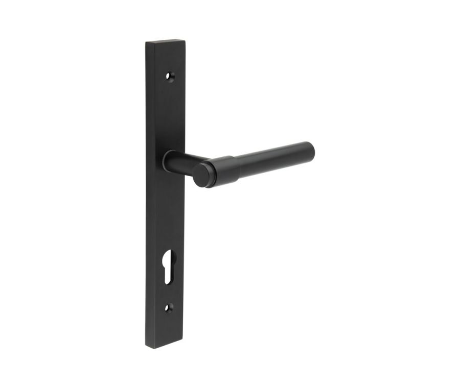 CR-103 Black Multi Point Backplate Door Handle