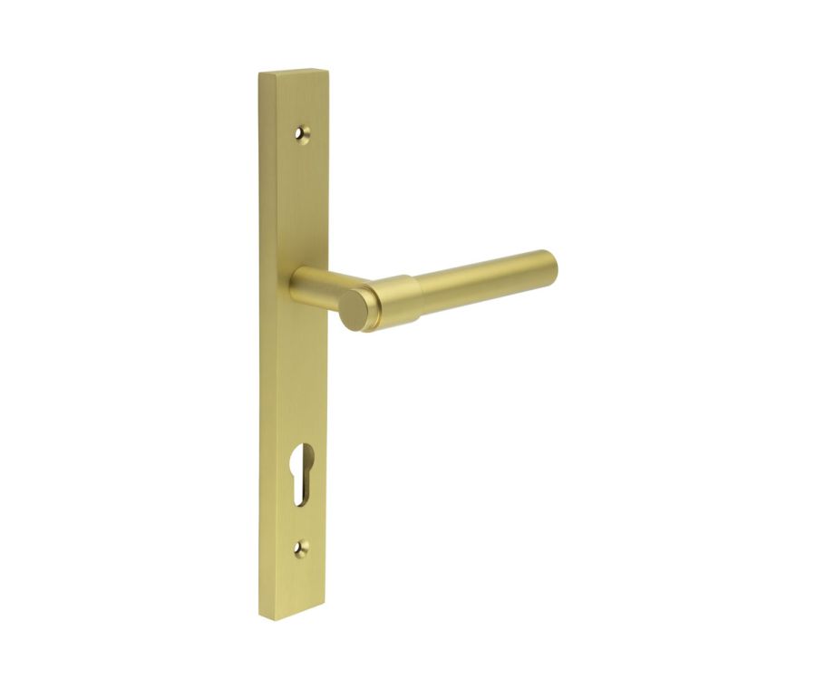 CR-103 Satin Brass Multi Point Backplate Door Handle