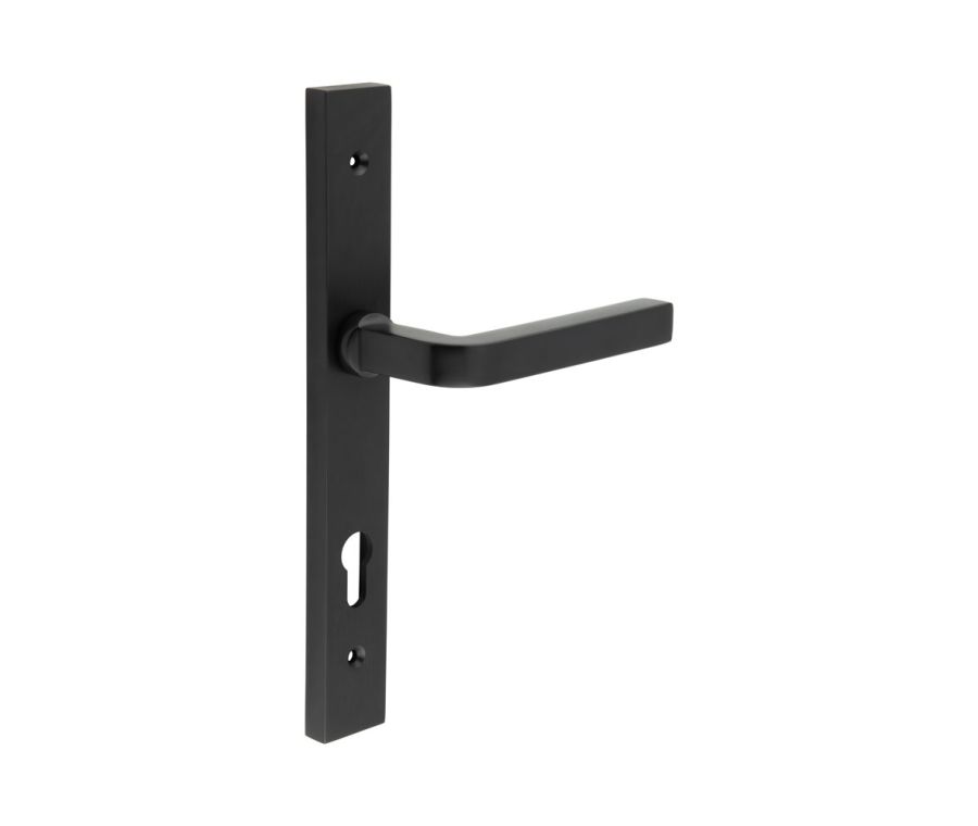 CR-104 Black Multi Point Backplate Door Handle