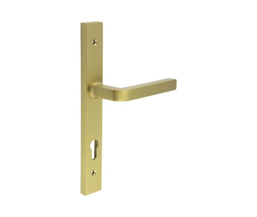 CR-104 Satin Brass Multi Point Backplate Door Handle