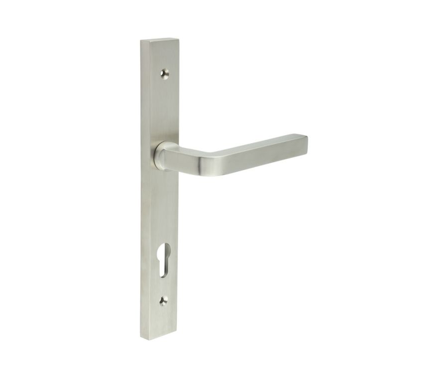 CR-104 Satin Stainless Steel Multi Point Backplate Door Handle