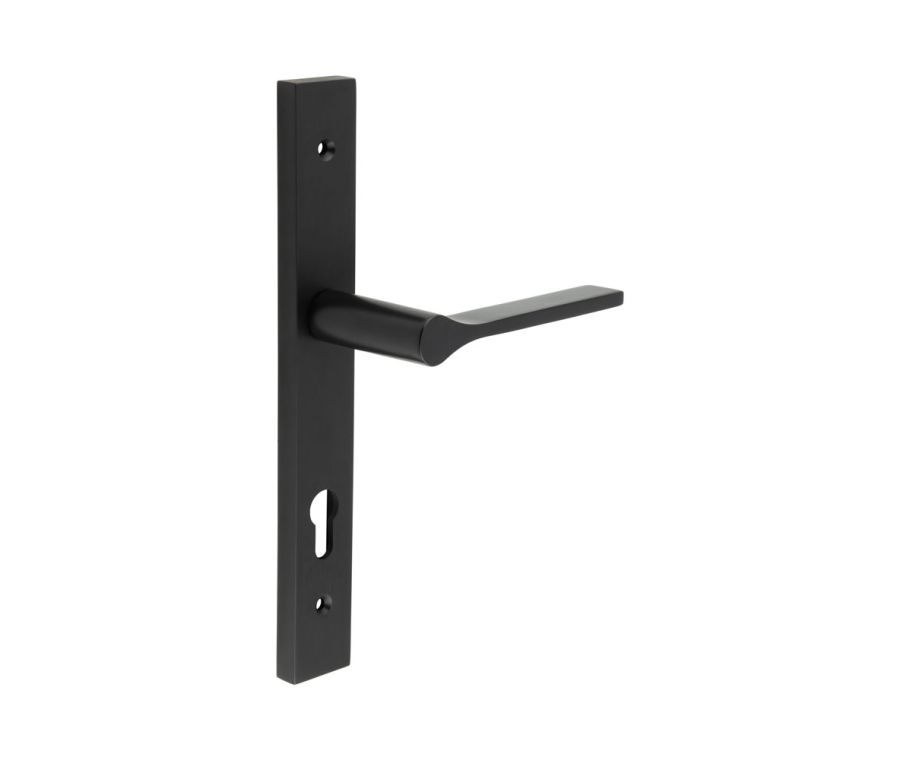 CR-105 Black Multi Point Backplate Door Handle