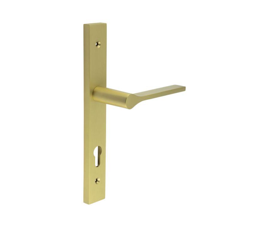 CR-105 Satin Brass Multi Point Backplate Door Handle