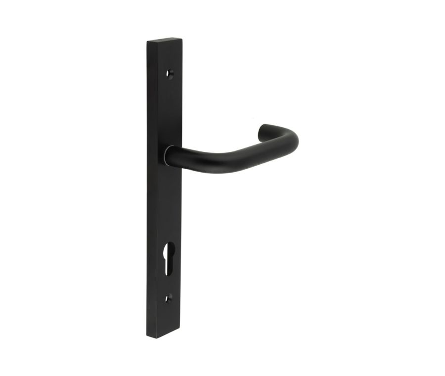 CR-106 Black Multi Point Backplate Door Handle