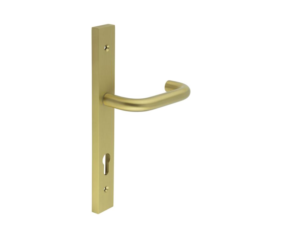 CR-106 Satin Brass Multi Point Backplate Door Handle