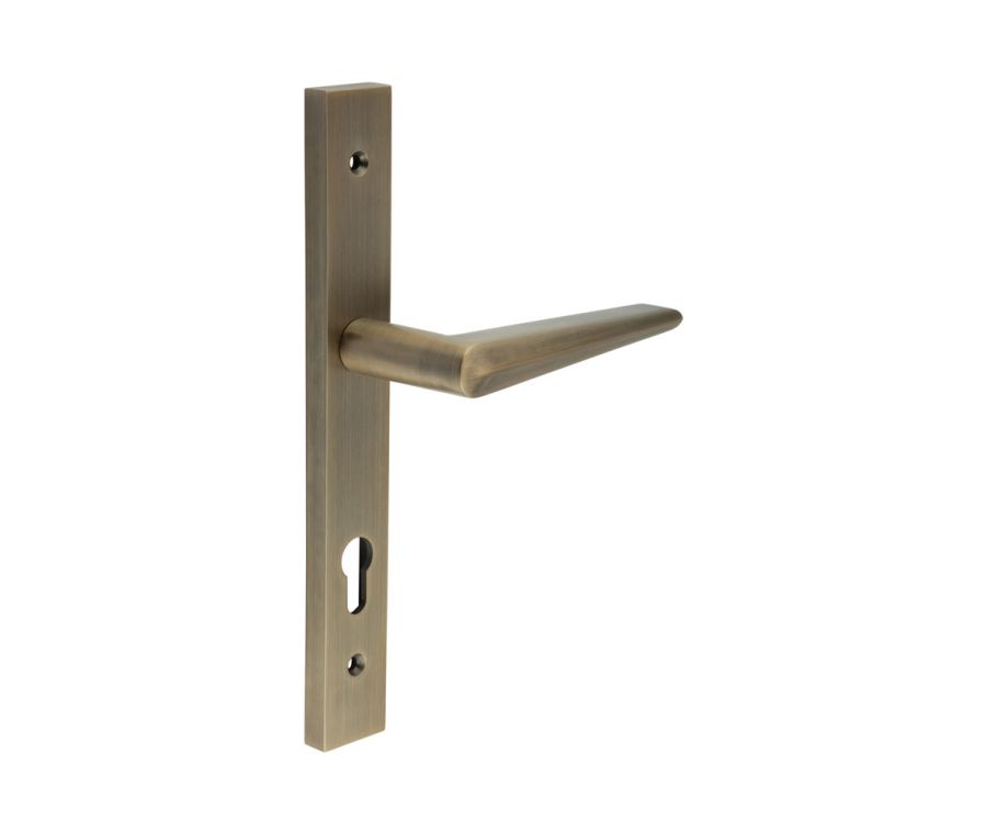 CR-107 Antique Brass Multi Point Backplate Door Handle