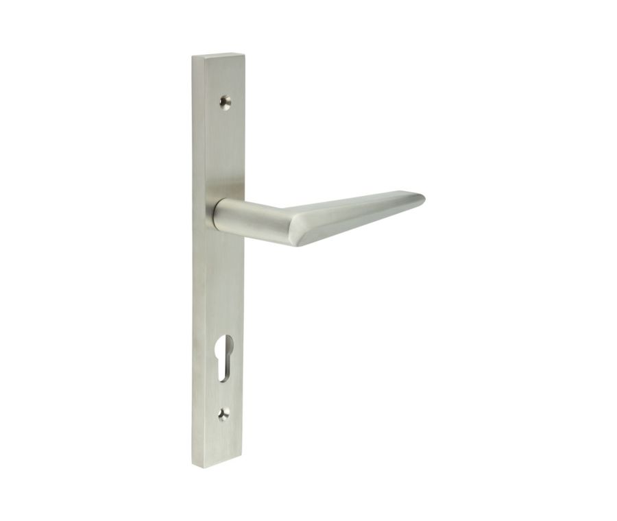 CR-107 Satin Stainless Steel Multi Point Backplate Door Handle