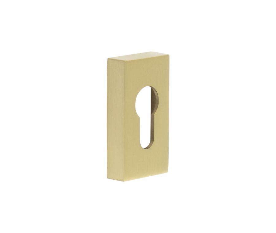 CRES Rectangular Satin Brass Euro Escutcheon