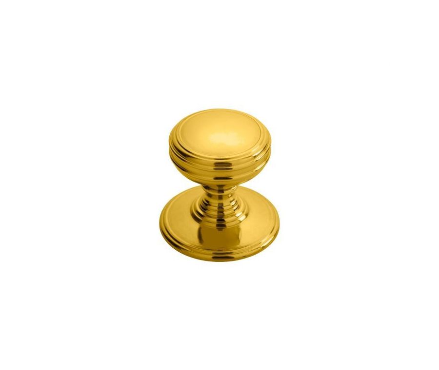 Polished Brass 38mm Delamain Plain Knob | DK47DPB