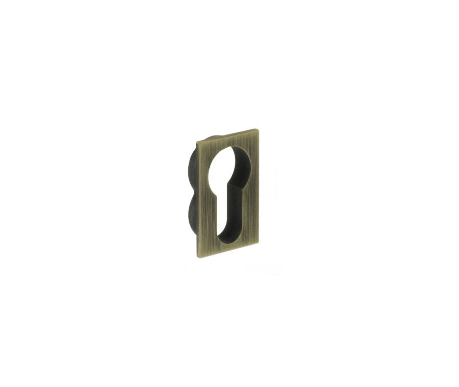 Pair Yester Bronze Concealed Rose Euro Square Escutcheon | FCSESCEYB