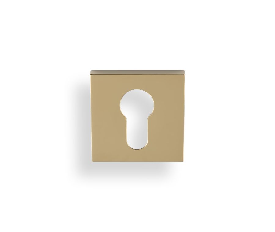 Valli Polished Brass PVD Euro Profile Square Escutcheon | K1101SQPBPVD