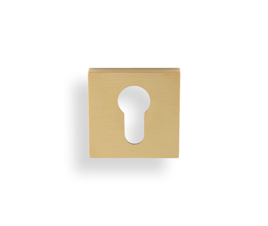 Valli Satin Brass PVD Euro Profile Square Escutcheon | K1101SQSBPVD