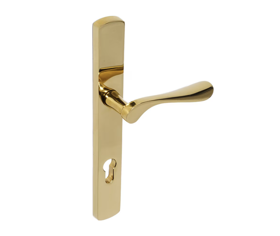 BLU Polished Brass Regent Left Hand Door Handle on 095 euro backplate  |  REG095-LH-PPB