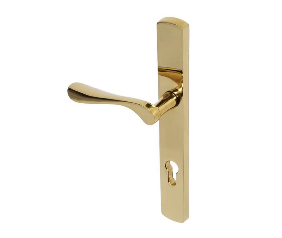 BLU Polished Brass Regent Right Hand Door Handle on 095 euro backplate | REG095-RH-PPB