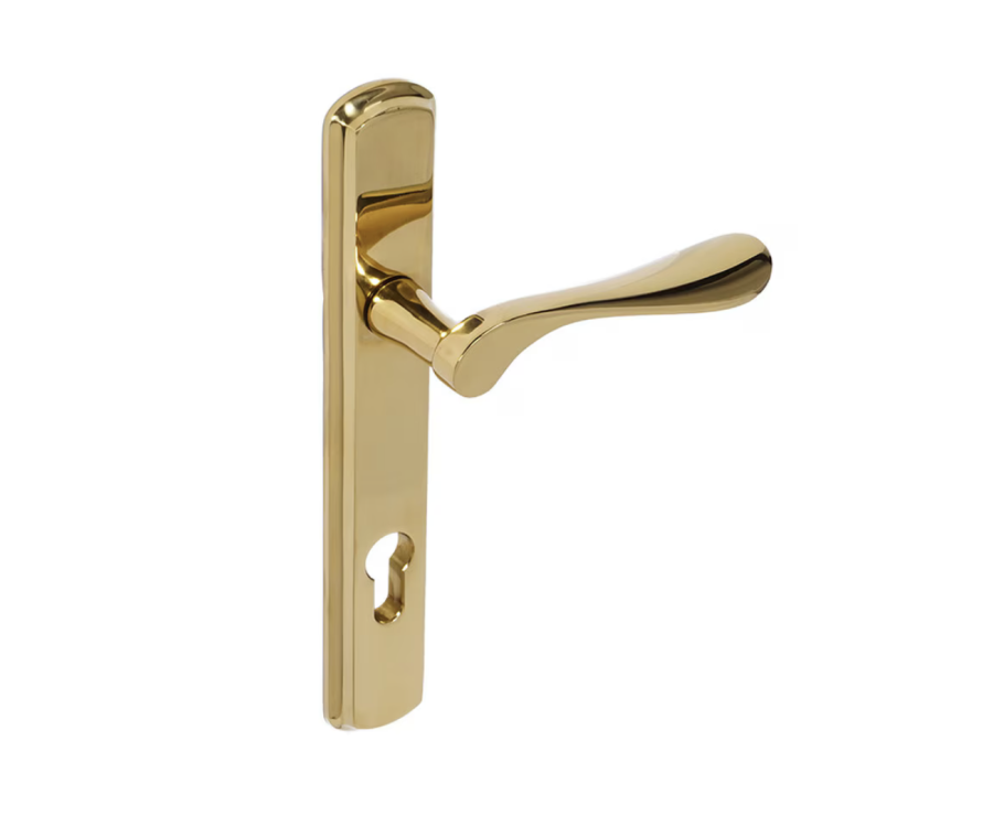 BLU Polished Brass Regent Left Hand Door Handle on 092 euro backplate  |  REG092-LH-PPB