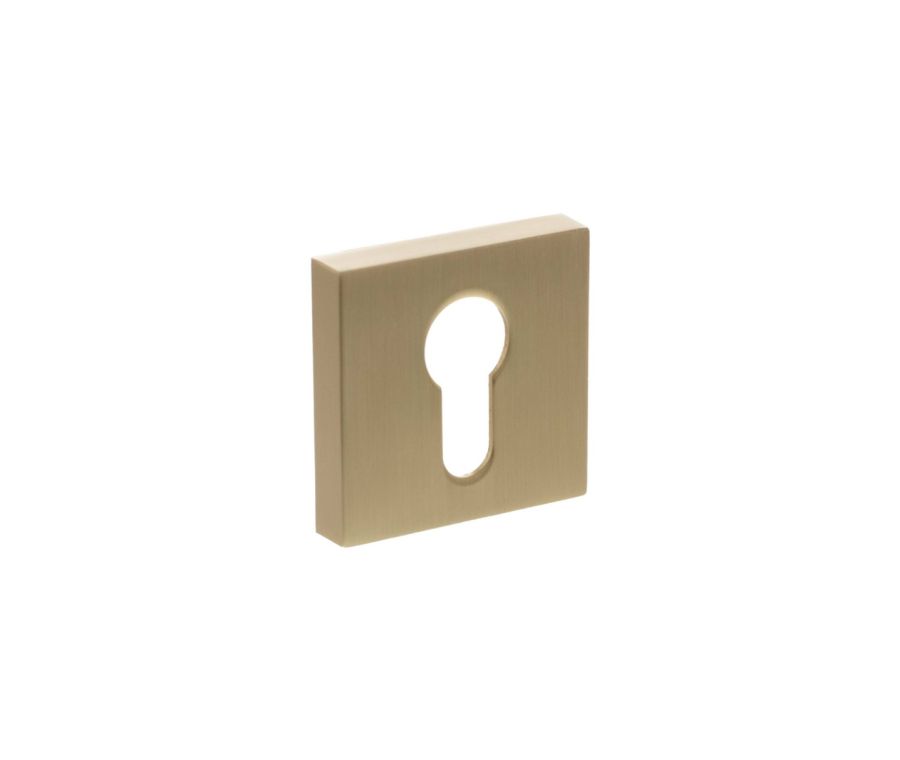 Senza Pari Satin Brass Minimal Square Euro Escutcheon | SPESCESB