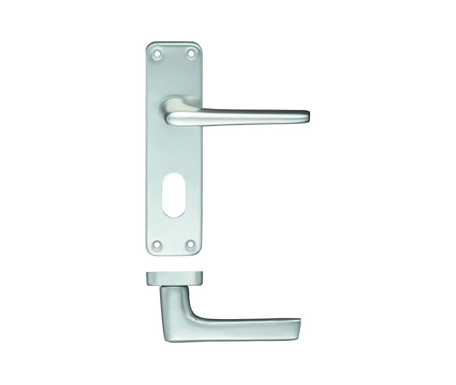 Set SAA Oval Profile Lever Lock on backplate