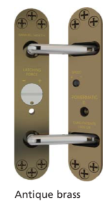 Antique Brass R100 Genuine Powermatic Concealed Hydraulic Door Closer