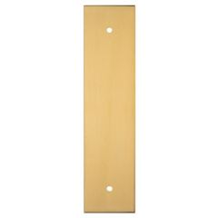Carlisle Brass Satin Brass 128mm c/c Rectangular Cabinet Knob Backplate | BP168SB