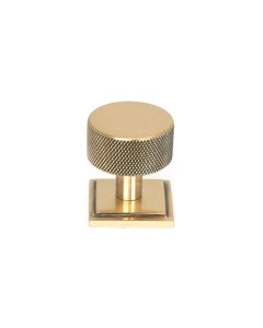 Anvil Polished Bronze Brompton 32mm Cabinet Knob (Square) | 46873