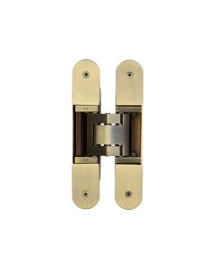 Ghost Antique Brass 160mm Concealed Hinge | CH100AB
