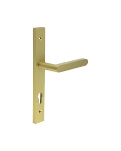 CR-101 Satin Brass Multi Point Backplate Door Handle