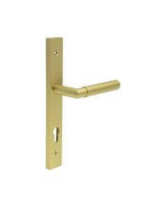CR-102 Satin Brass Multi Point Backplate Door Handle