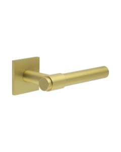 CR-103 Satin Brass Unsprung Square Rose Door Handle