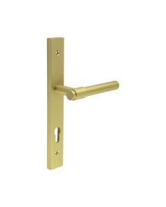 CR-103 Satin Brass Multi Point Backplate Door Handle