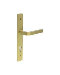 CR-104 Satin Brass Multi Point Backplate Door Handle