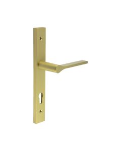 CR-105 Satin Brass Multi Point Backplate Door Handle
