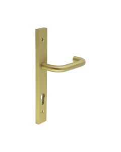 CR-106 Satin Brass Multi Point Backplate Door Handle