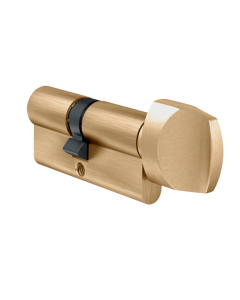 Evva 62mm A5 Polished Brass Euro Cylinder & Turn 31/T31 | L6198