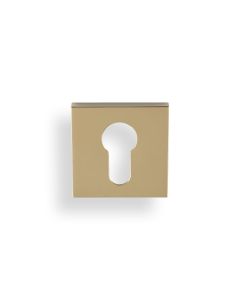 Valli Polished Brass PVD Euro Profile Square Escutcheon | K1101SQPBPVD