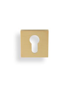 Valli Satin Brass PVD Euro Profile Square Escutcheon | K1101SQSBPVD