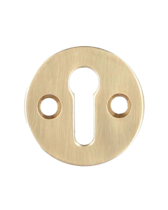Alexander and Wilks Polished Brass Lacquer Victorian Escutcheon STD Profile | AW399PBL