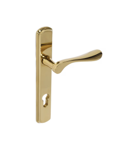 BLU Polished Brass Regent Left Hand Door Handle on 092 euro backplate  |  REG092-LH-PPB