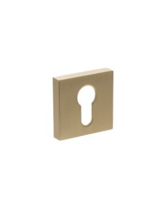 Senza Pari Satin Brass Minimal Square Euro Escutcheon | SPESCESB