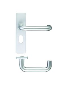 Set SAA RTD Lever Lock on Oval Profile Backplate
